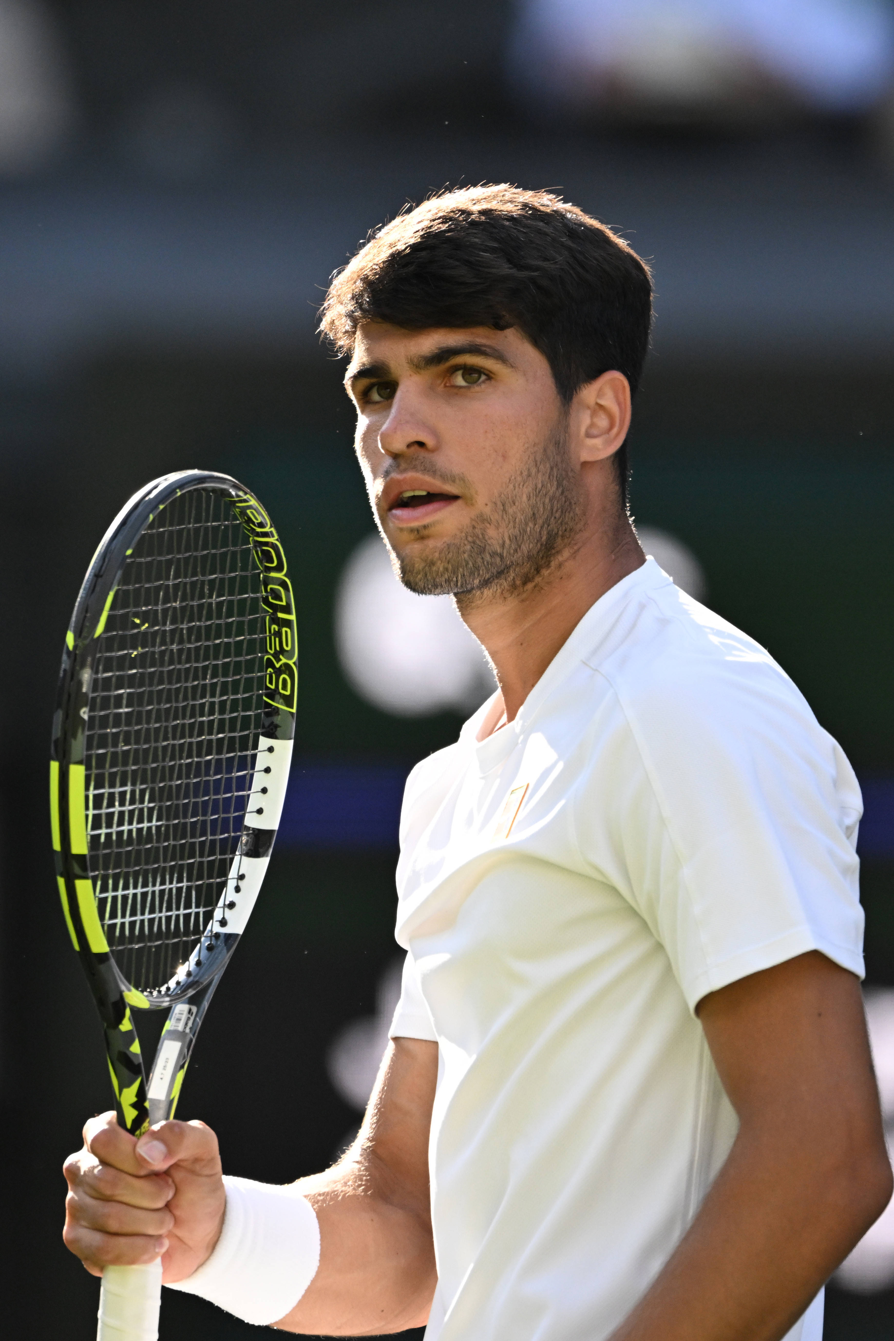 关于澳大利亚网球队险胜世界网球队,阿尔卡拉斯统治全场的信息 关于澳大利亚网球队险胜世界网球队,阿尔卡拉斯统治全场的信息