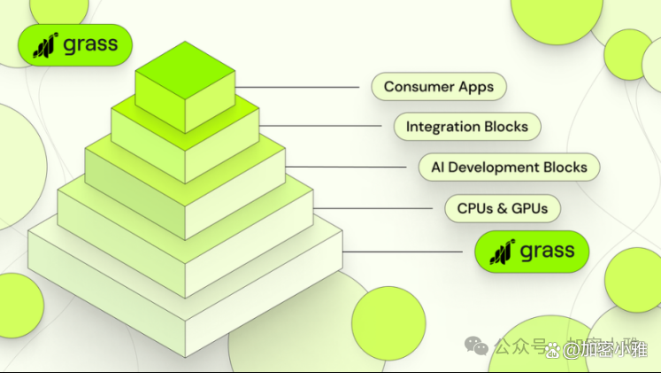 棒球赔率刷新纪录，竞猜热度飙升