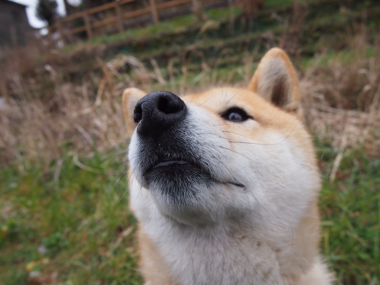 杜兰特魔术首秀32分轻取马刺，新王降临，扛起奥兰多的天空