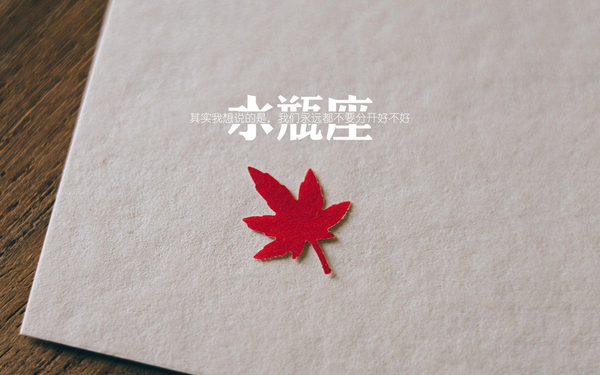 乒坛双响炮，波兰队横扫法国队创奇迹，张本智和刷新纪录再铸辉煌