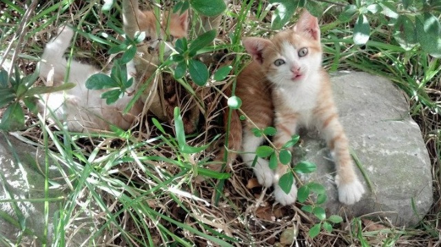 球台与绿茵，两个被时间镌刻的极致瞬间