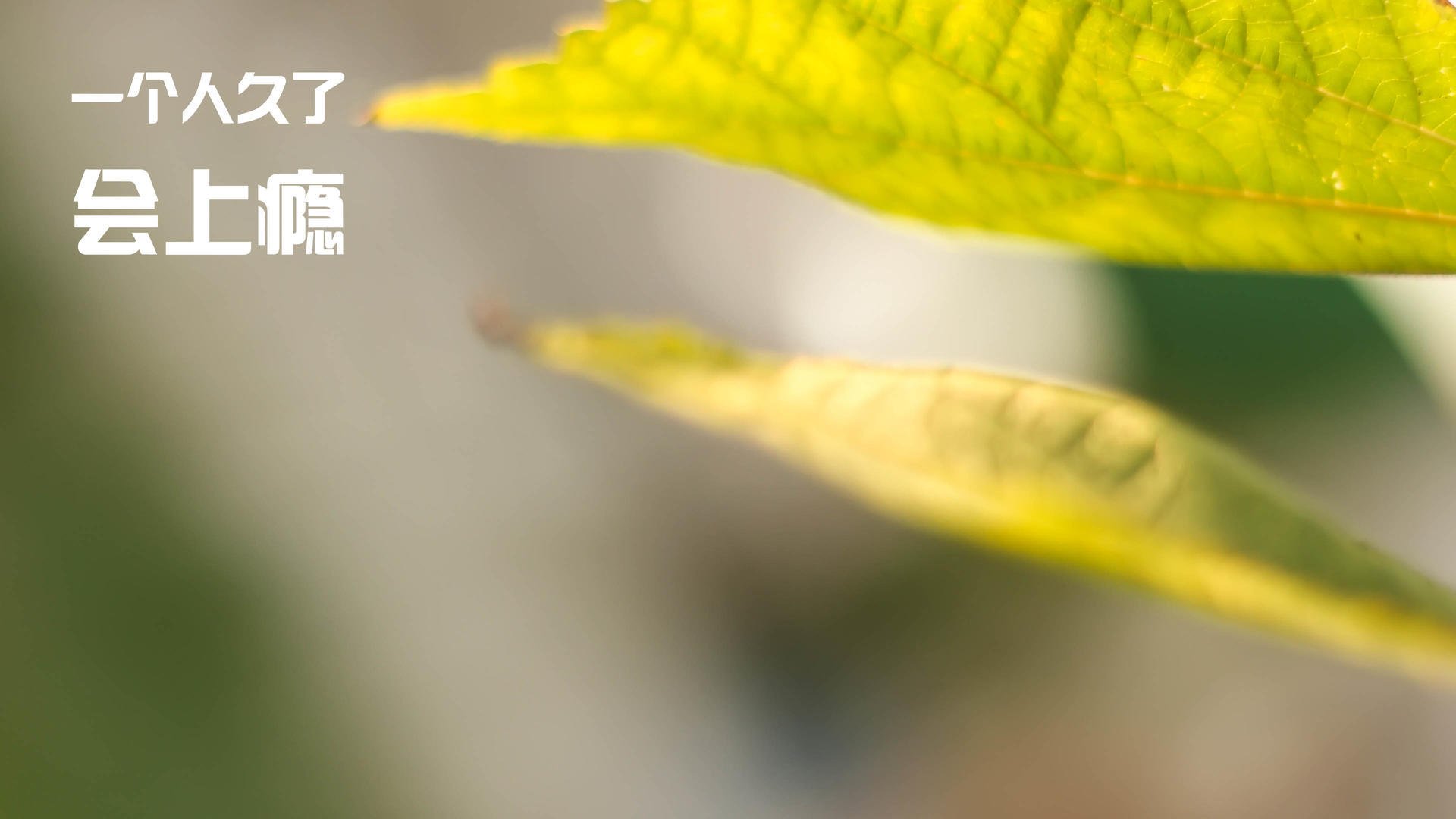 熔炉战场上的另类主宰，当基耶萨的匕首刺穿英伦风暴