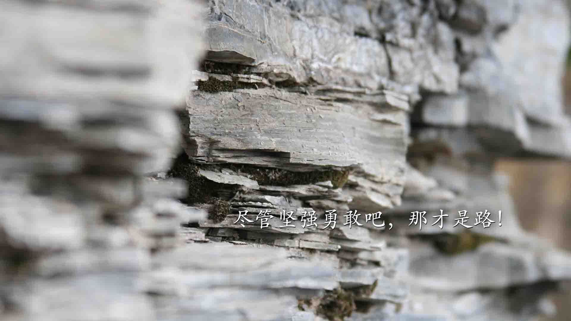 时空裂隙中的荣耀，深圳队跨越次元力克火箭，库里末节神迹逆转未果