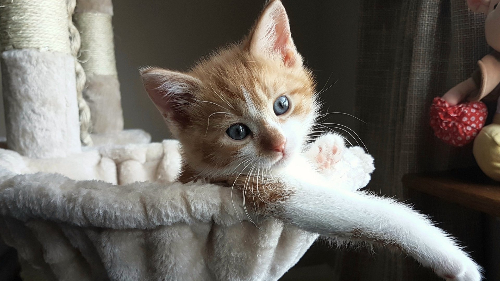 舞台之下,舞台之上,灰熊的体系压制与英格拉姆的闪光时刻