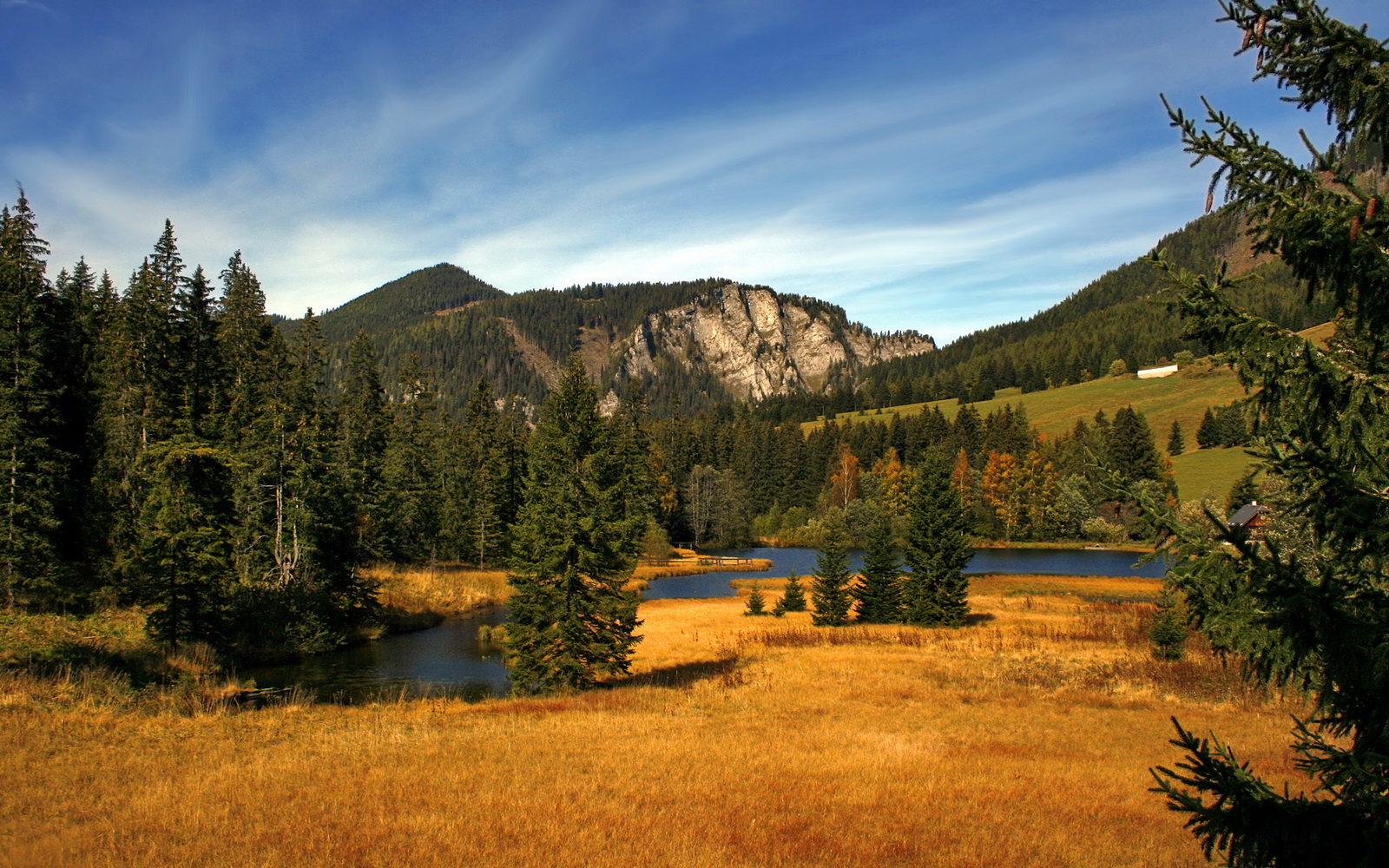 高速缠斗与森林铁幕，当维斯塔潘征服洛杉矶弯道，狼群已撕破紫金防线