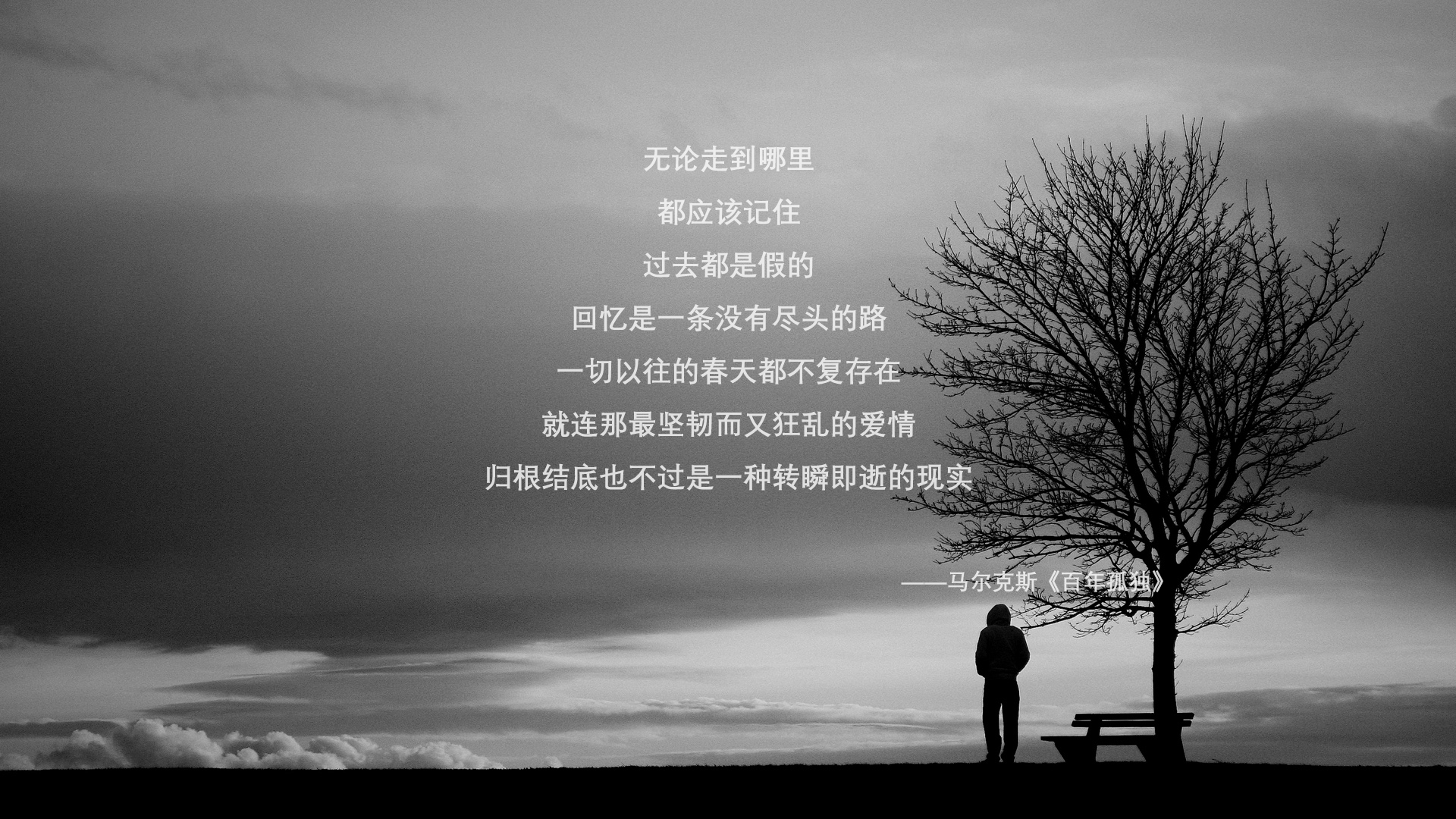 引力全开，当东契奇式高能输出蔓延，深圳队如何实现对吉林队的完美压制？