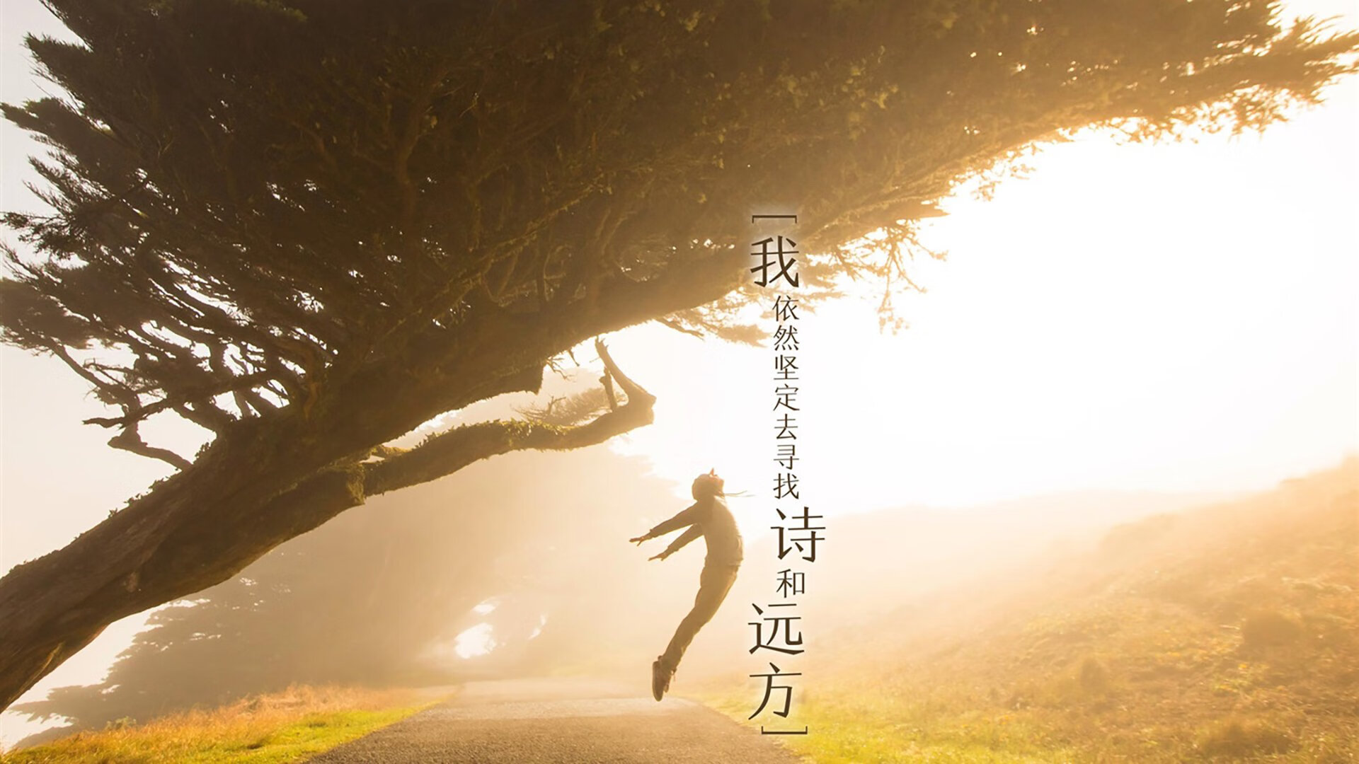 橙衣军压境，厄瓜多尔陷落，2026世界杯D组，荷兰以中场之魂与维尼修斯之光重写秩序