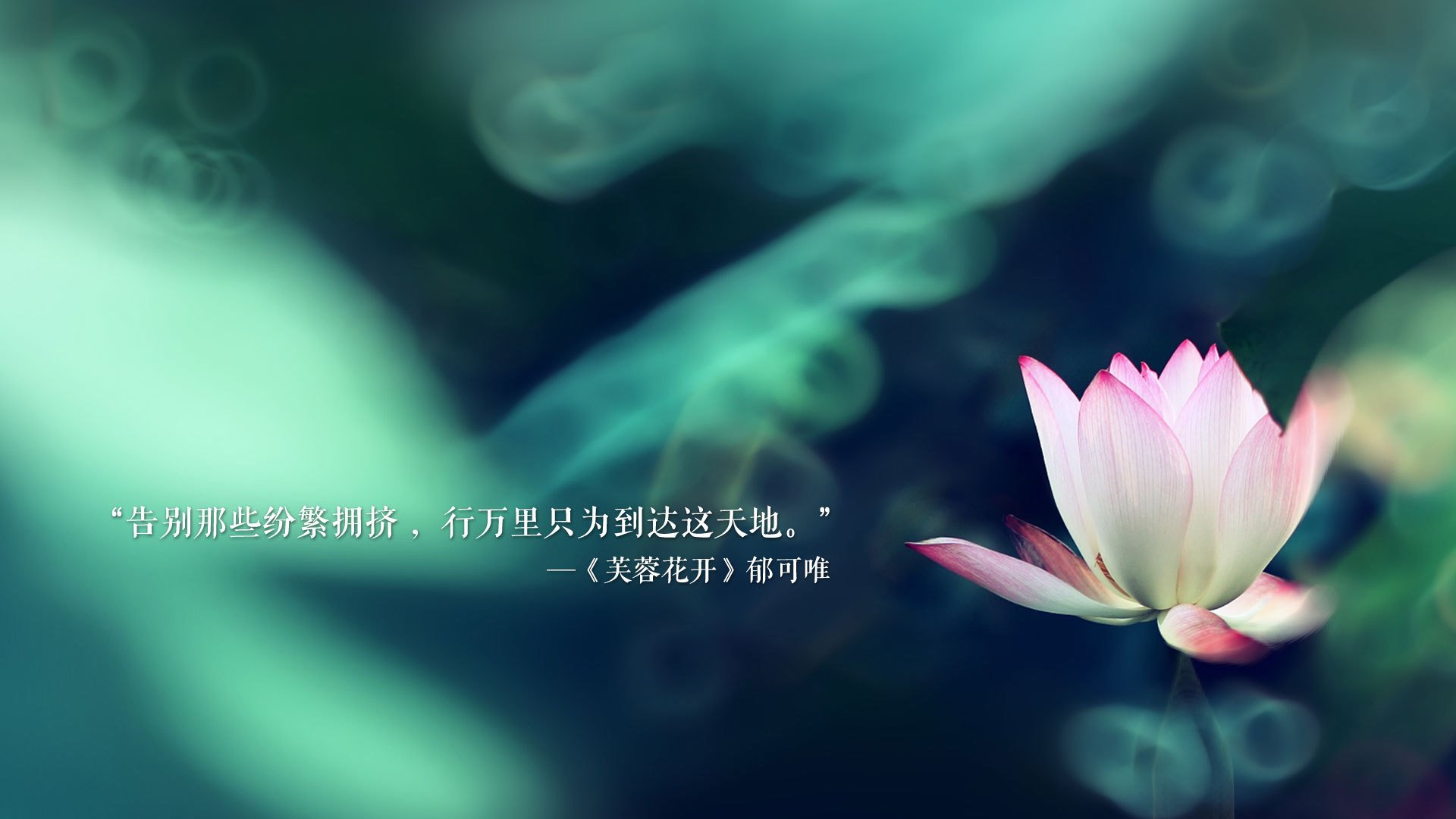 唯一的一夜,当吉鲁在2026世界杯E组撕裂命运,葡萄牙与泰国写下紧凑史诗