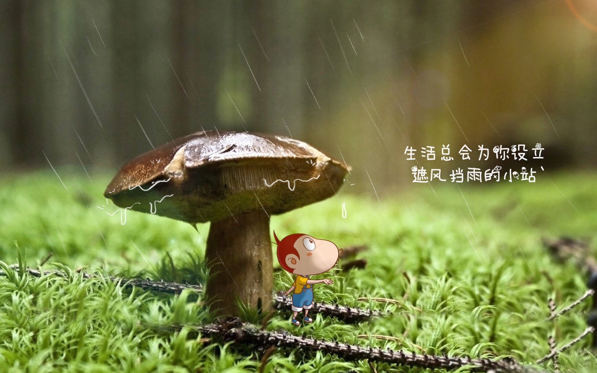 冰火两重天,2026世界杯F组生死战,冰岛惊天完胜比利时,凯恩领衔英格兰攻守转换如行云流水